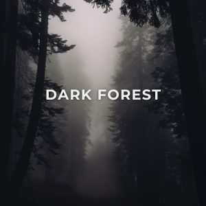 Dark Forest